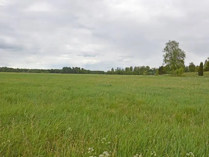 Image 1 of 8 of Solberg