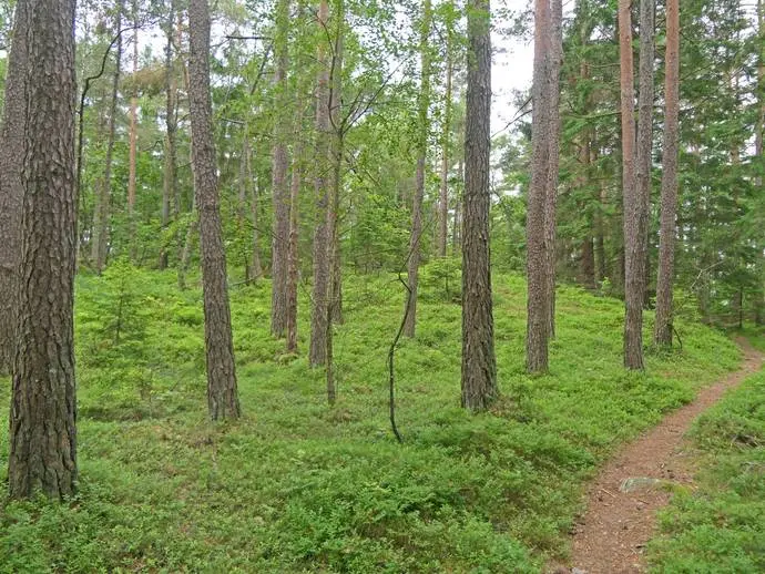 Image 1 of 10 of Alslöv