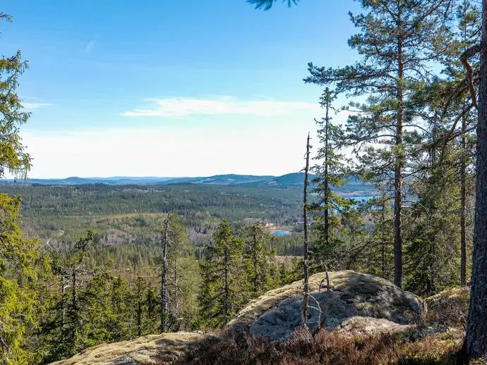Image 1 of 20 of Långbansände
