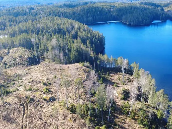 Bild 1 av 20 på Håltebyn