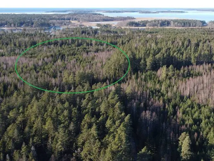 Bild 1 av 3 på Rönneberg