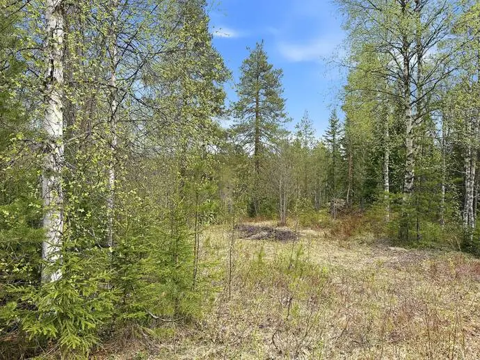 Image 1 of 9 of Femlidsvägen 12