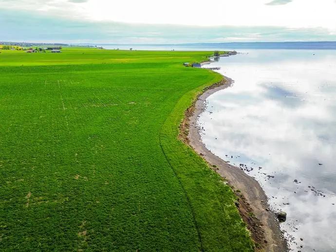 Bild 1 av 20 på Visingsö Ed - Stranden