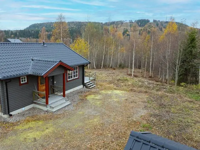 Bild 1 av 20 på Kungsbergsvägen 43