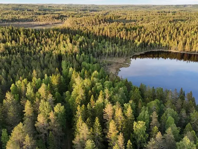 Bild 1 av 19 på Lindesberg Gåsnäsboda 1:5