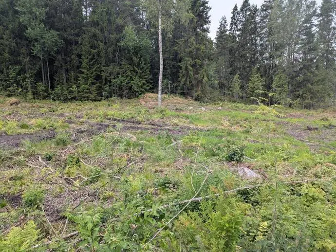 Bild 1 av 8 på Hargebadsvägen / Nyäng