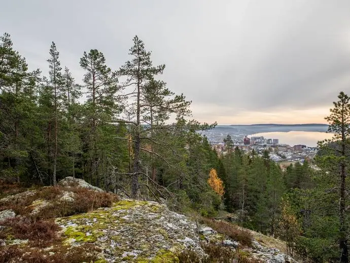 Bild 1 av 20 på Örnsköldsvik Österås 1:146