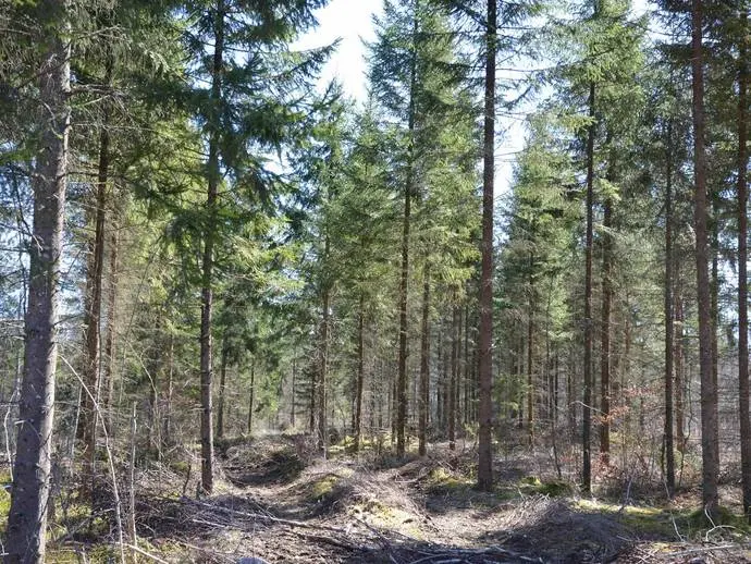 Bild 1 av 20 på Snörsjö 2:5