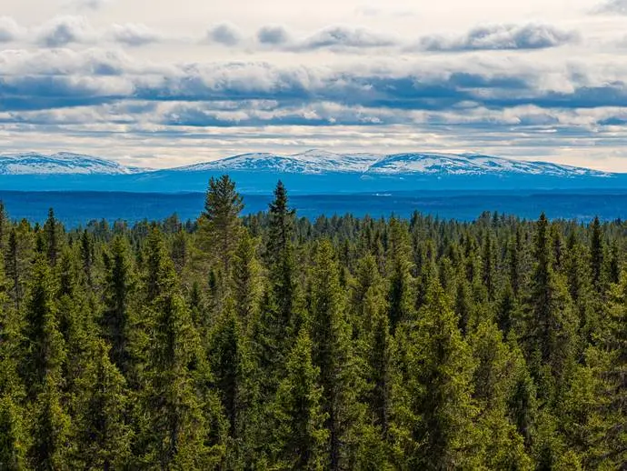 Image 1 of 19 of Rödöns-Nyland