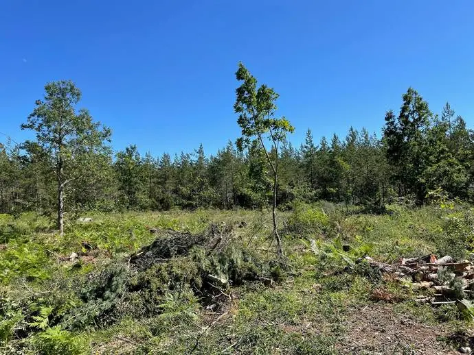 Image 1 of 13 of Eksta Bopparve 158D