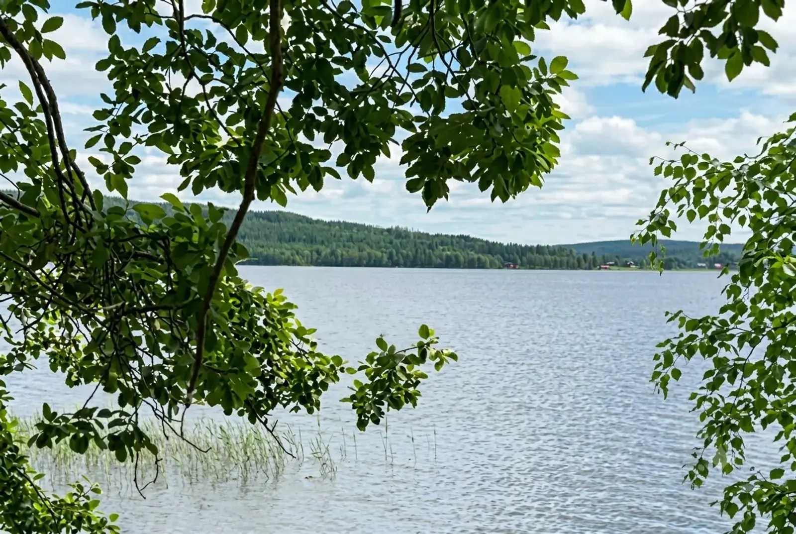 Image 1 of 20 of Grannäs 50