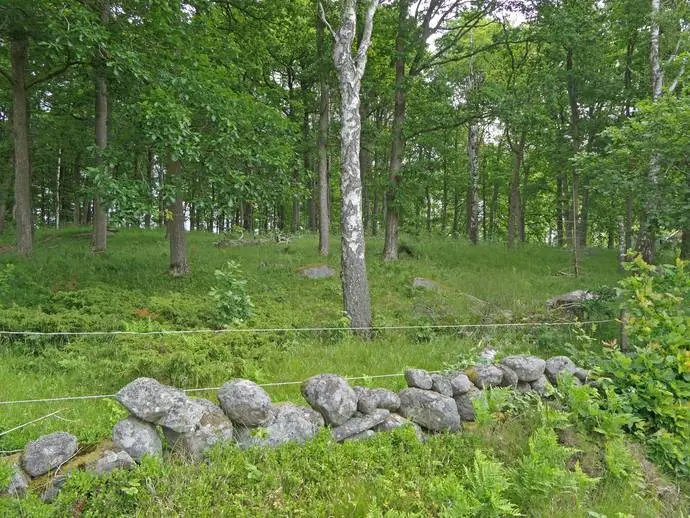 Image 1 of 11 of Idalahult 