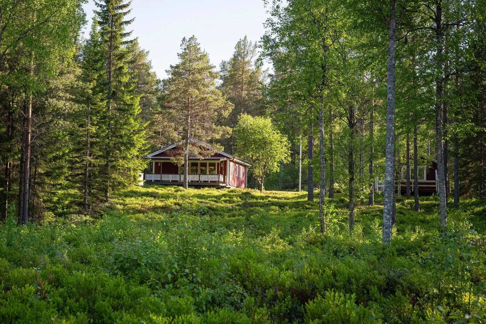 Image 1 of 20 of Buskön 109