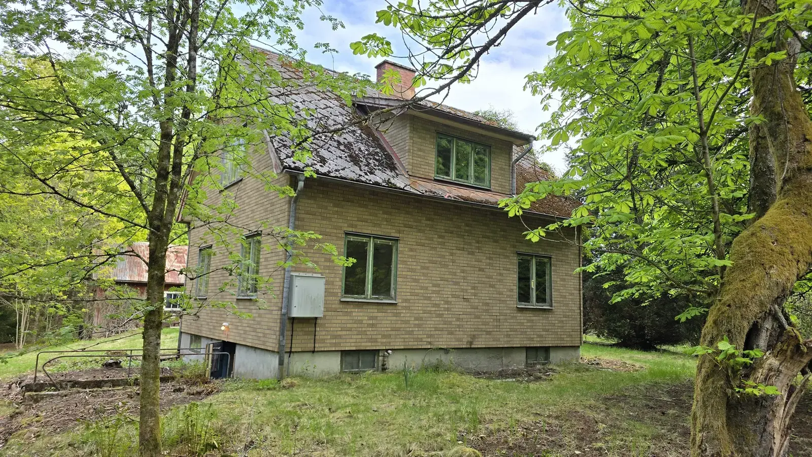 Image 1 of 20 of Dämhult 101