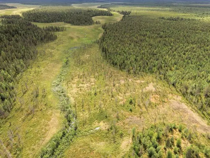 Bild 1 av 16 på Kangos