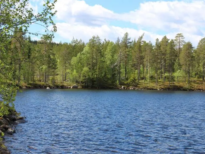 Bild 1 av 20 på Lillbergsgården