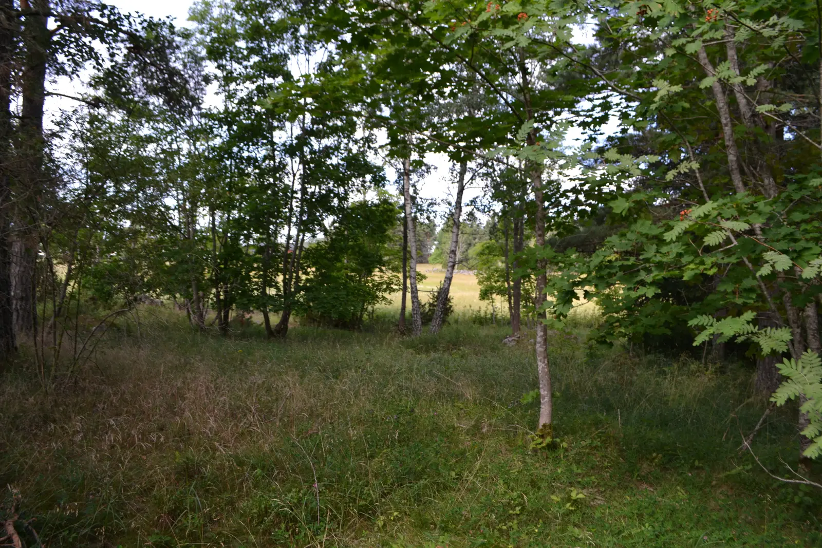 Image 1 of 1 of Anderssvedjavägen 71