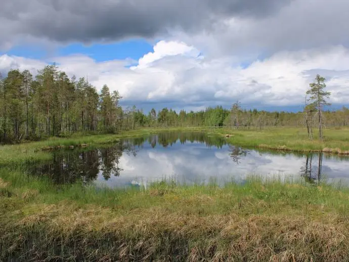 Image 1 of 20 of Skellefteå-Grannäs