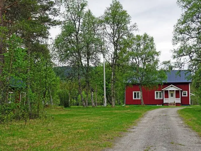 Bild 1 av 20 på Skogen 304