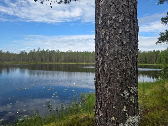 Image 1 of 20 of Burträsks-Gammelbyn
