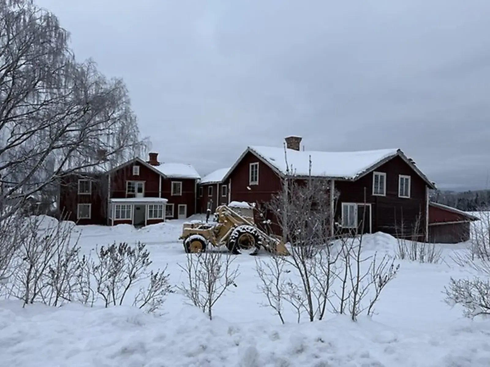 Image 1 of 6 of Hjortsta 205